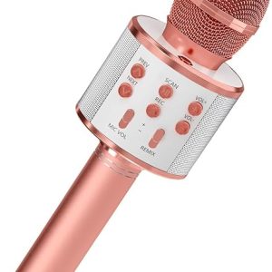 Bluetooth Karaoke Fun for Kids|Toddler-Friendly Toy Mic with Speaker for Mini Popstars