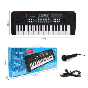 Portable Electronic Piano Keyboard